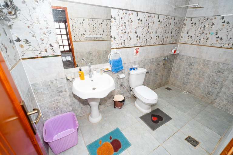 Bathroom 2, Freedom House, Luxor
