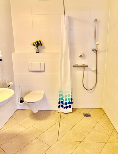 Bathroom 5, Hotel Goldener Adler, Nordsachsen