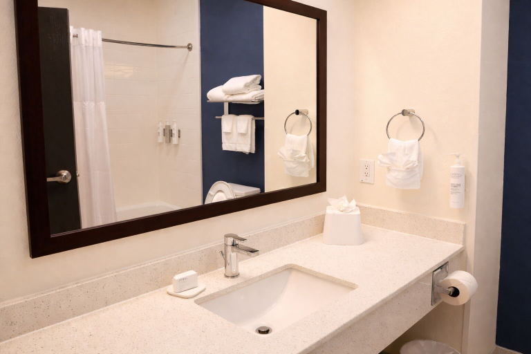 Bathroom 5, Spark by Hilton Terrell, Kaufman