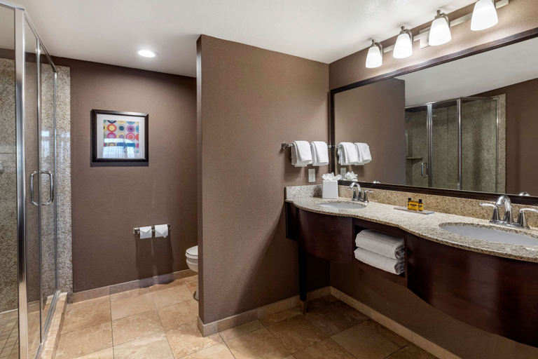 Bathroom 4, Best Western Plus Las Vegas South Henderson, Clark