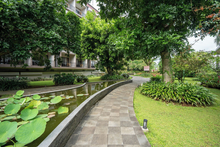 scenery 20