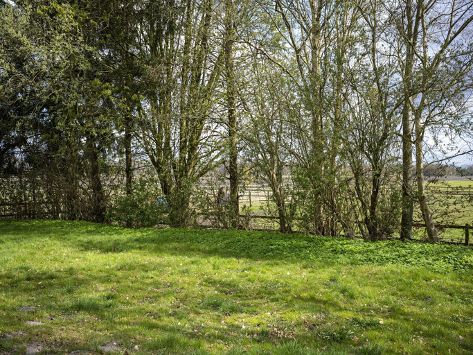 View from property 3, Holiday Home with Meadow View near Forests, Coevorden