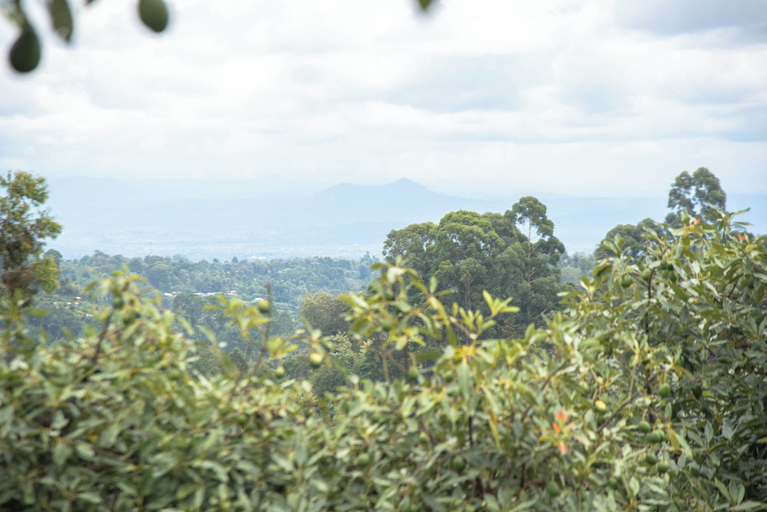 Mountain view, Mt. Kenya View Villa 5BR Ensuite Guest Wing, Tetu