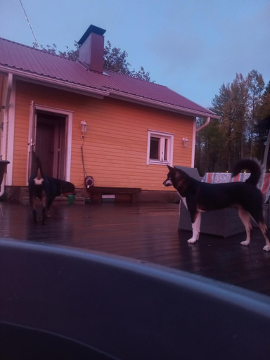 Sport & Beauty 4, B&B Aittoranta, Kainuu