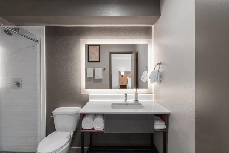 Bathroom 4, Hawthorn Extended Stay by Wyndham Jackson, Madison