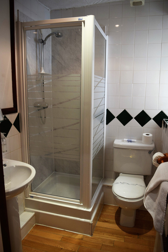 Bathroom 3, The Gower Hotel, Pembrokeshire