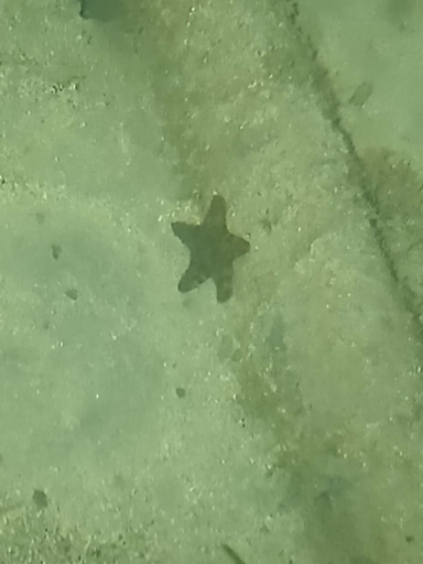 Others 4, VILLA BAHIA DEL SOL, Bocas del Toro