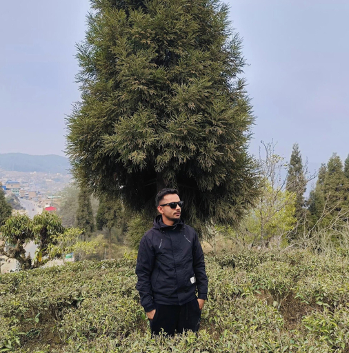Miscellaneous, Aatam Cottage, Gandaki