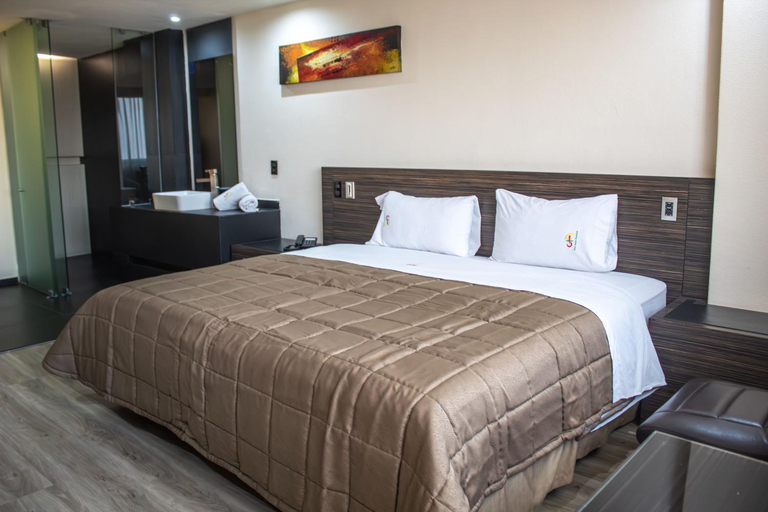Bedroom 3, Hotel Amazonas, Mexico City