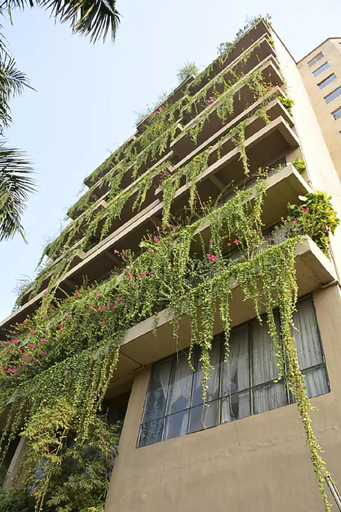 Exterior & Views 2, The Lily Khanapara Guwahati Assam, Kamrup Metropolitan