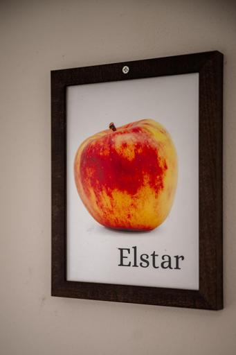 Food & Drinks 5, Untermoarhof Albeins, Bolzano