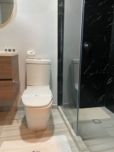 Bathroom 4, Hotel Monaco, Mexico City