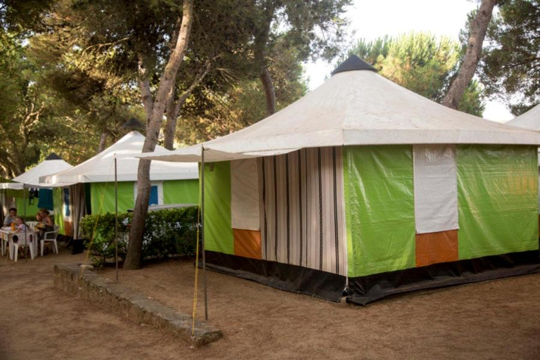 Others 3, Camping Internacional Palamos, Girona