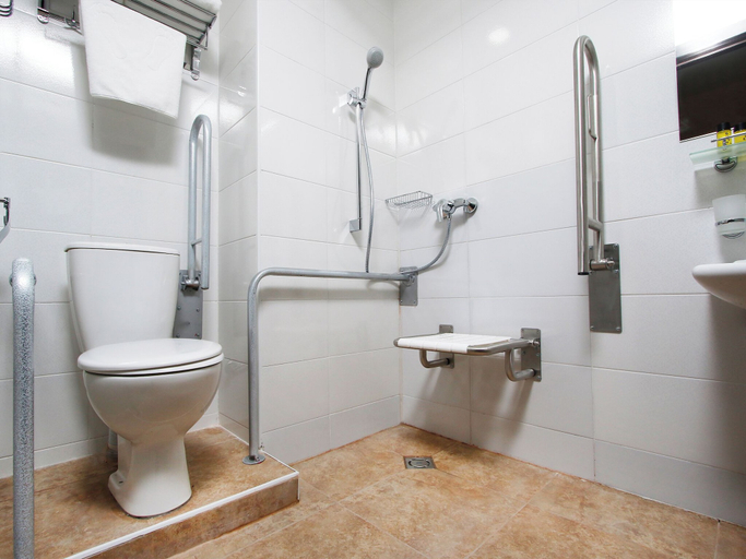 Bathroom 5, Gudauri Inn, Kazbegi
