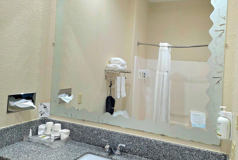 Bathroom 4, Ramada by Wyndham South Waco, McLennan