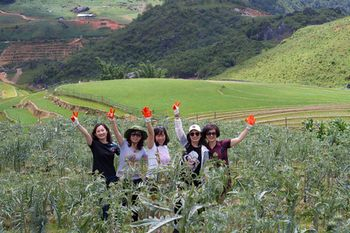 Others 1, Sapa Capsule Hotel, Sa Pa