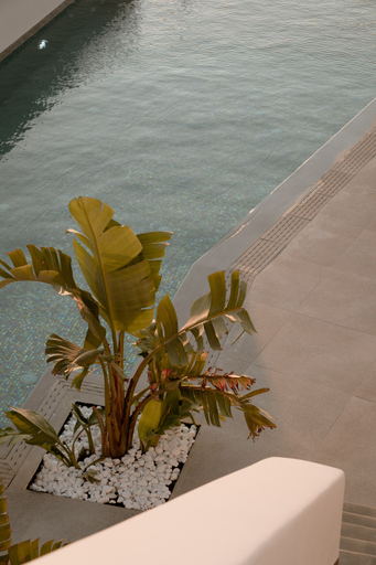 Sport & Beauty 2, Mon Signor Hotel Adults Only, South Aegean