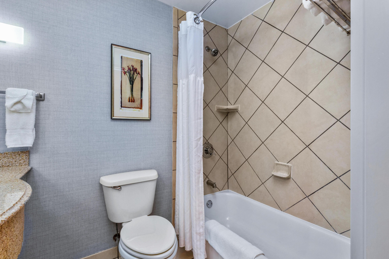 Bathroom 5, Hilton Garden Inn Starkville, Oktibbeha