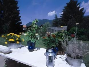 Others 5, Hotel Beausite Budget, Interlaken