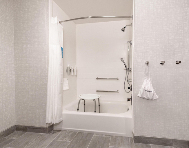 Bathroom 4, Hampton Inn Needles Colorado River, San Bernardino