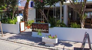 Others 5, The Losh, Bodrum