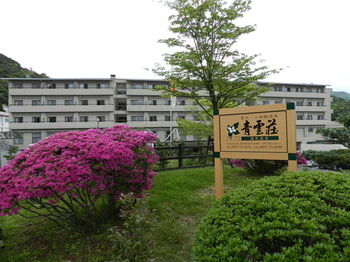 Featured Image, Hotel Seiunso, Unzen