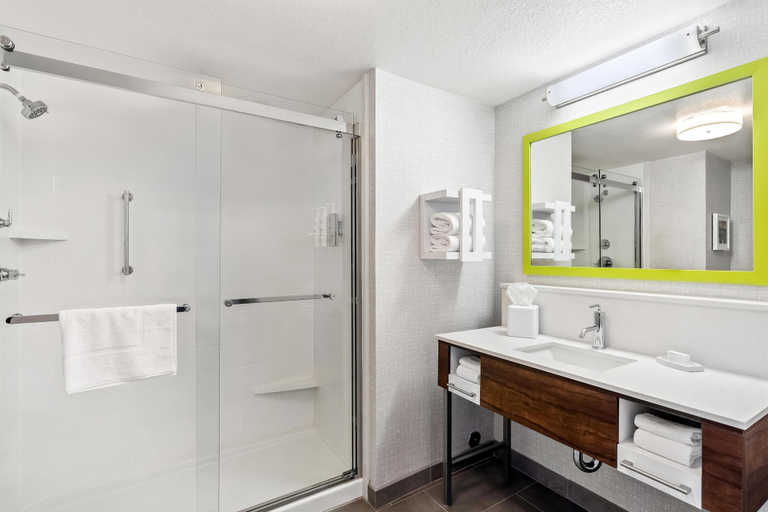 Bathroom 4, Hampton Inn & Suites Lathrop, San Joaquin