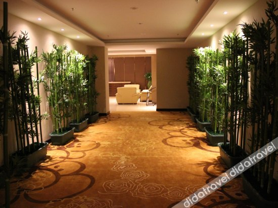 公共区域 2, Jinying Hotel, Foshan