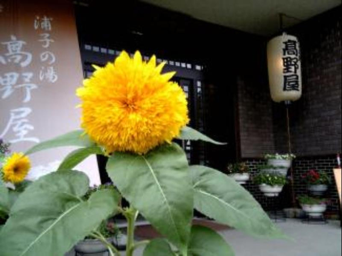 Others 5, Takanoya, Minamiuonuma