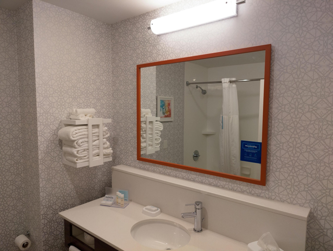 Bathroom 4, Hampton Inn Atlanta/Peachtree City, Fayette