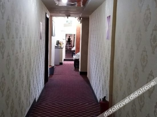 Others 5, Zimeng Hostel, Chongqing