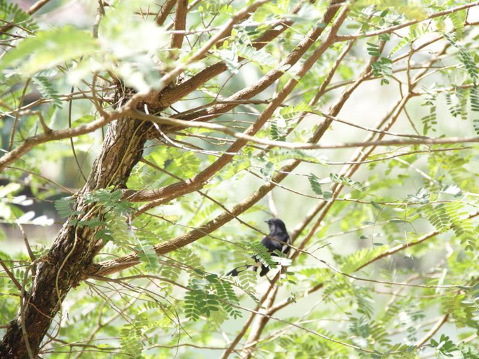 Others, Rommai Rimnaam Resort, Muang Ranong