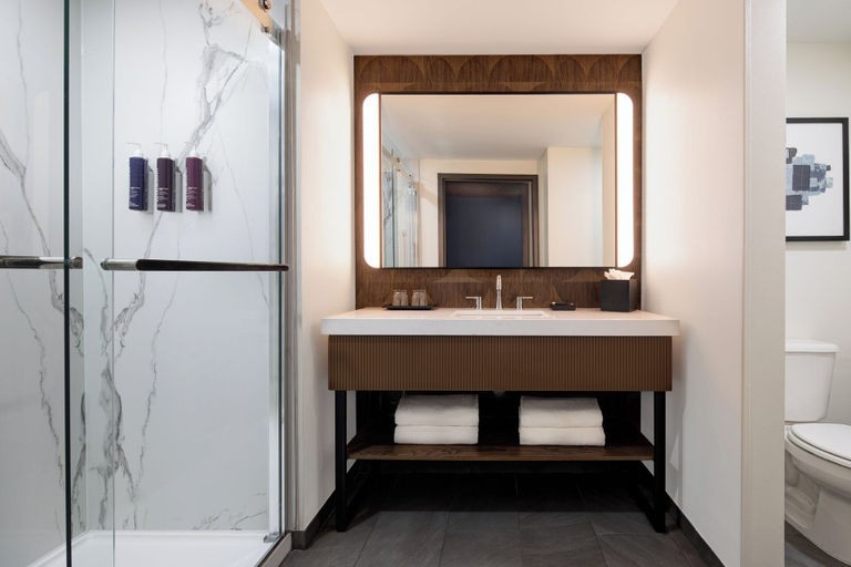 Bathroom 4, Renaissance Tulsa Hotel & Convention Center, Tulsa
