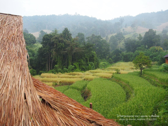 Others 4, Kowit Maechaem Farmstay, Mae Chaem