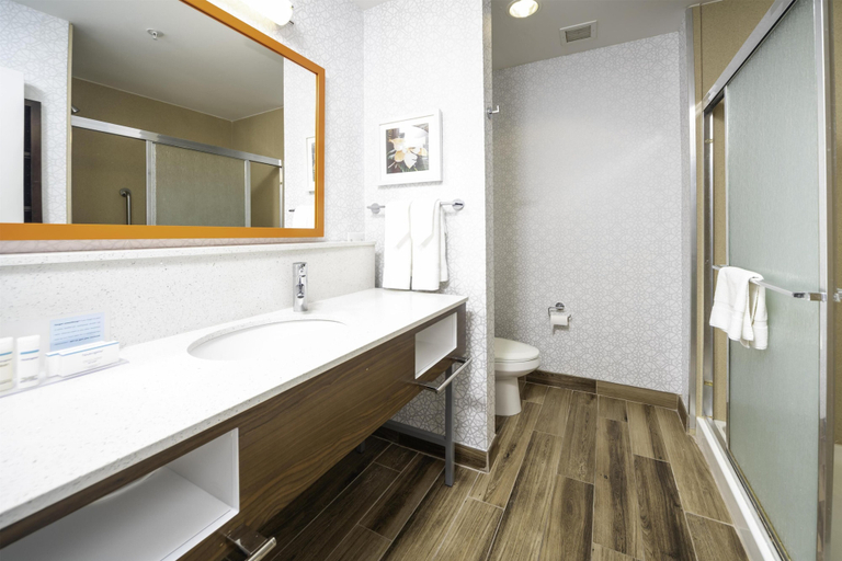 Bathroom 3, Hampton Inn & Suites New Iberia Avery Island, Iberia