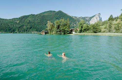 Others 3, das mondsee, Vöcklabruck