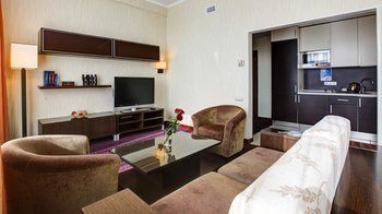 Others 4, Aerostar Hotel Moscow, Northern