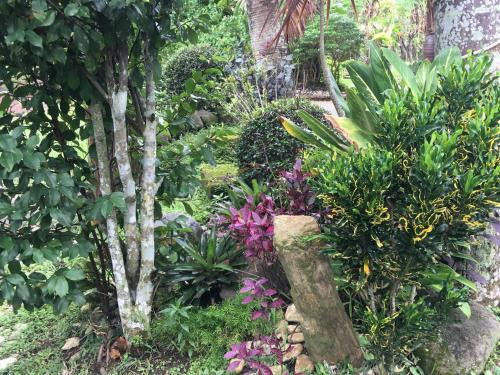 Others 4, Zacona Eco-Resort & Biblical Garden, San Pablo City