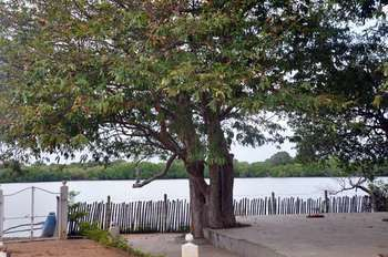 Others 5, Serendib Hotels Nilaveli, Kuchchaveli