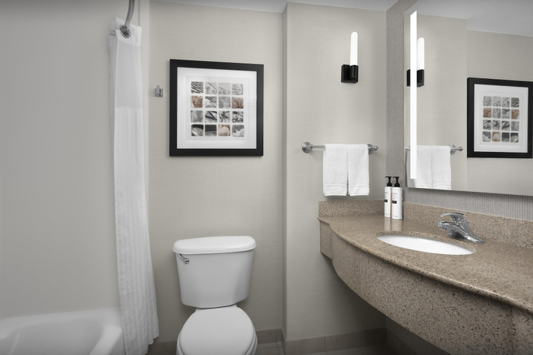 Bathroom 5, Hilton Garden Inn Macon / Mercer University, Bibb
