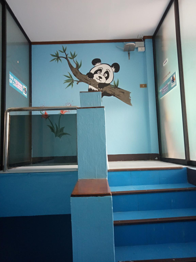 Others 5, Chiang Mai Panda Hostel, Muang Chiang Mai