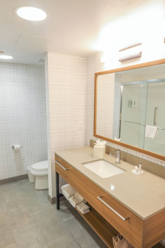 Bathroom 4, Hampton Inn & Suites Austin - Lakeway, Travis