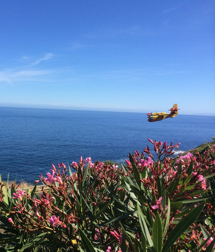 Others 5, Marine de Palumbare, Haute-Corse
