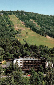 Others 3, Hotel Kodama, Yamanouchi