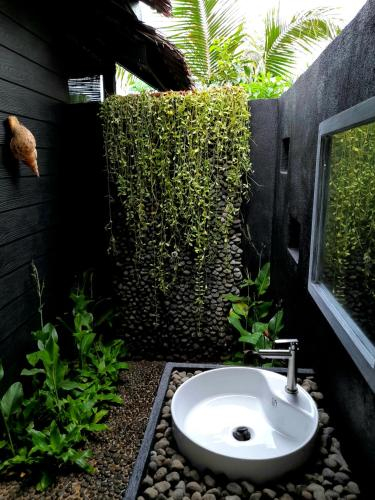 Other 3, Cliff Garden, San Juan