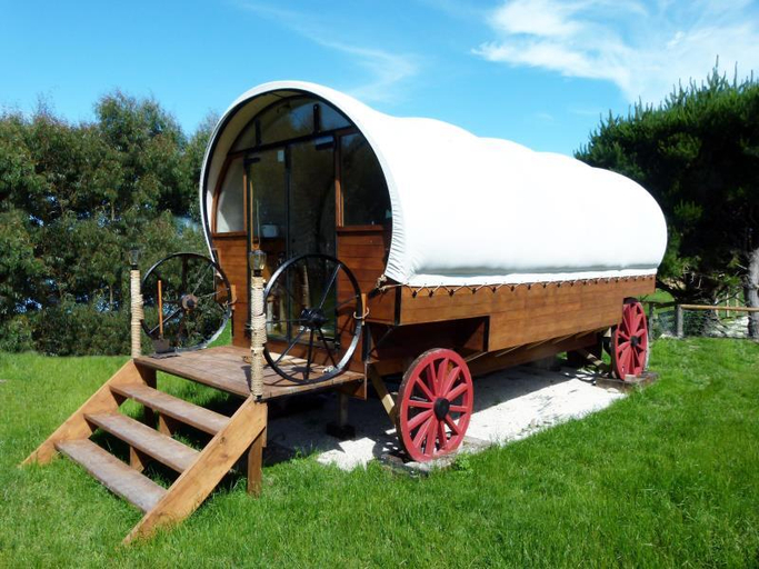 Sport & Beauty, Wacky Stays, Kaikoura