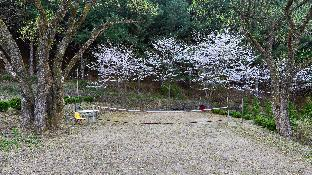 Others 4, Sarongd bangdong, Chuncheon