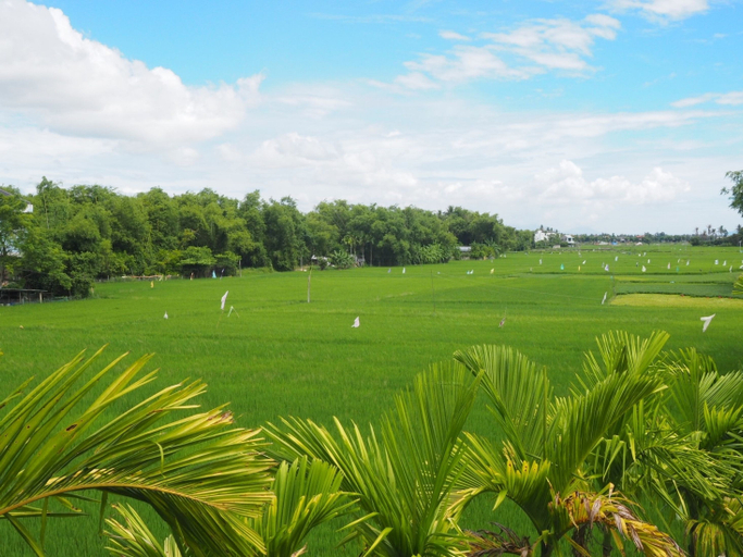 Others 5, Azumi Villa Hotel, Da Nang