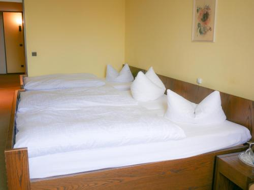 Others 5, Hotel Oronto, Koblenz