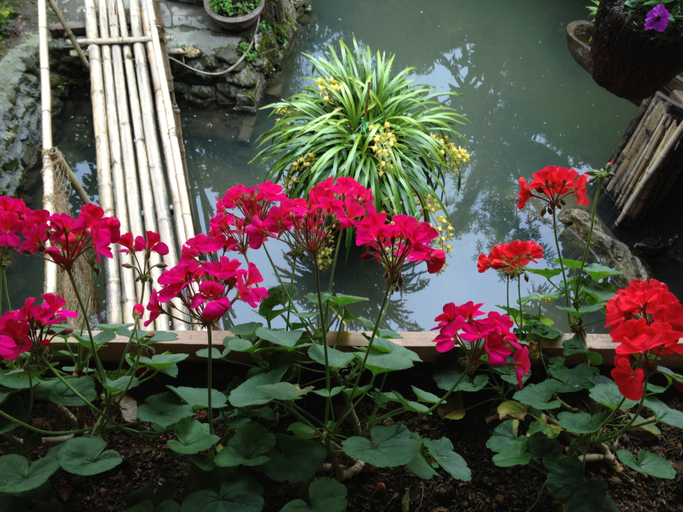 Lobby, Stone Garden Resort & Spa, Sa Pa